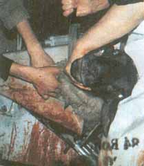 massacres1.jpg (11999 byte)